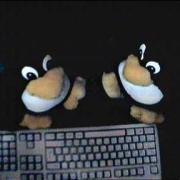 Zwei Tux sitzen vor der Tastatur