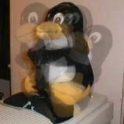 Tux tobt am Joystick